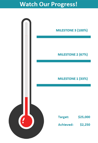 A graph showing the progress of the campaign; currently it is at $2,250 out of the $25,000 goal.